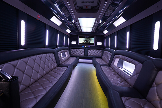 party bus mood lighting